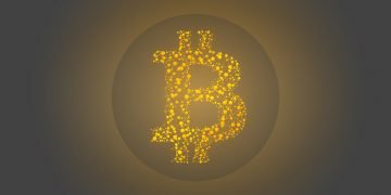 Bitcoin Halving - Bull Run - Google Trends