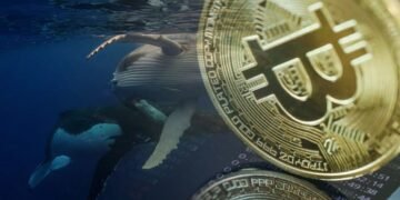 1 000 bitcoinů z roku 2010 – záhadná velryba se vrací