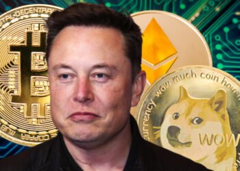 Elon Musk diskutoval o důležitých vylepšeních Dogecoinu a potvrdil, že do Shiba Inu neinvestoval