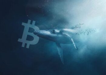 Neznámá velryba koupila BTC v hodnotě 1,6 miliardy dolarů