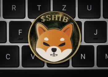 Shiba Inu byla v roce 2021 nejoblíbenější kryptoměnou na CoinMarketCap a překonala Bitcoin i Dogecoiny