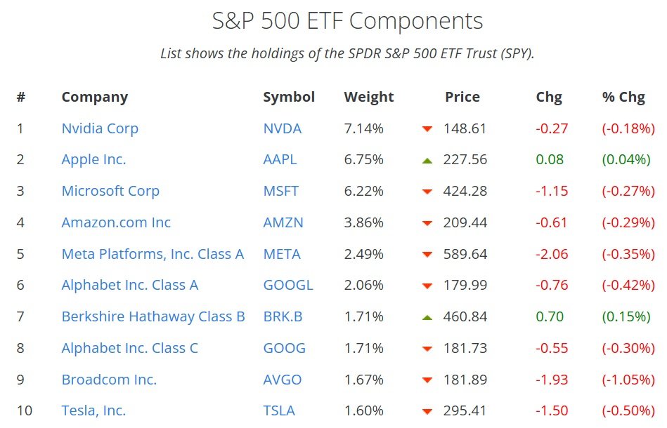 Při otázce, jak investovat do S&P 500, vám může pomoci i přehled zastoupených společností v tomto indexu