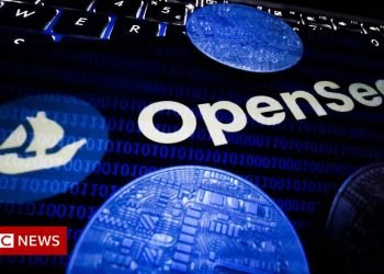 Podle známé tech bloggerky Opensea plánuje přidat podporu pro blockchain Solana