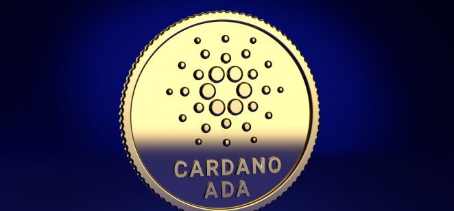 Institucionální investoři si oblíbili Cardano – nárůst velkých transakcí ADA