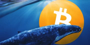 Počet velrybích BTC adres dosáhl 10měsíčního maxima