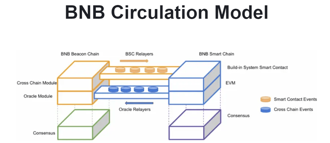 Model pro pálení BNB tokenů