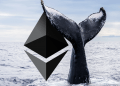 Ethereum: velryby nadále akumulují ETH