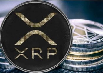 Top 10 XRP adres ovládá 73 % všech coinů