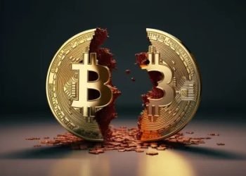 Halving bitcoinu