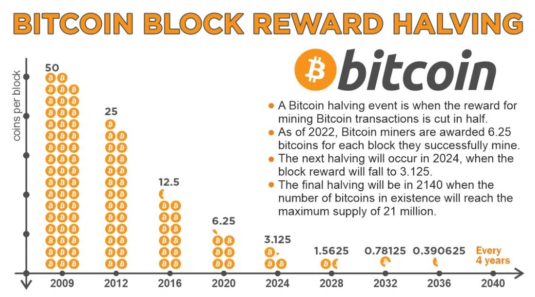 Výše odměn těžařů bitcoinu v čase za jeden vytěžený blok. Každý halving odměny snižuje