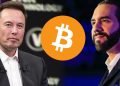 Bitcoin a Musk