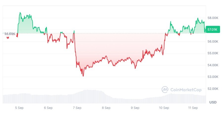 Bitcoin za posledních sedm dní vzrostl o 0,65 %. Porostou i altcoiny?