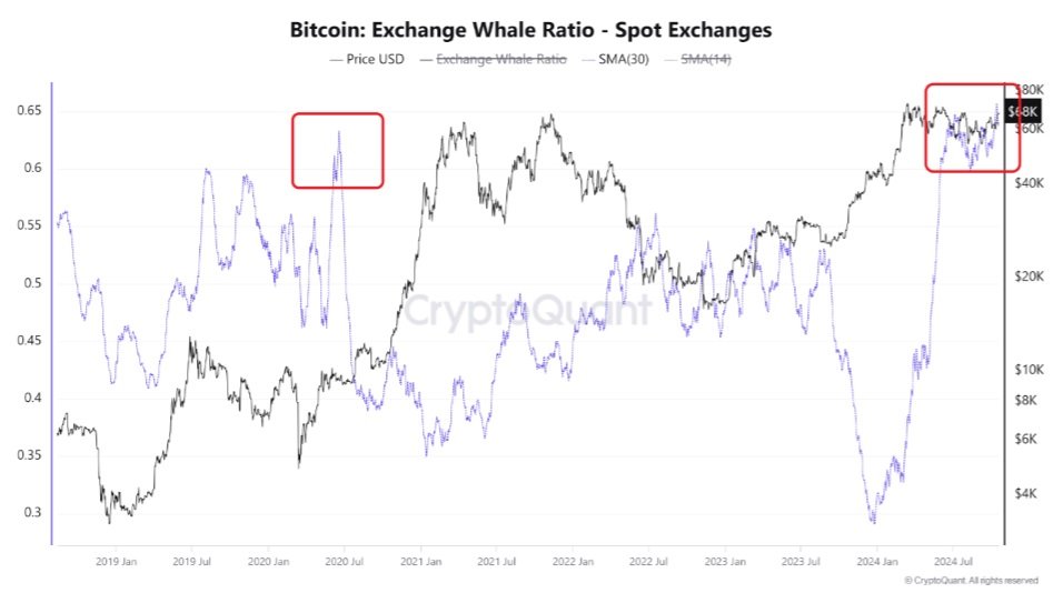 Bitcoin exchange whale ratio