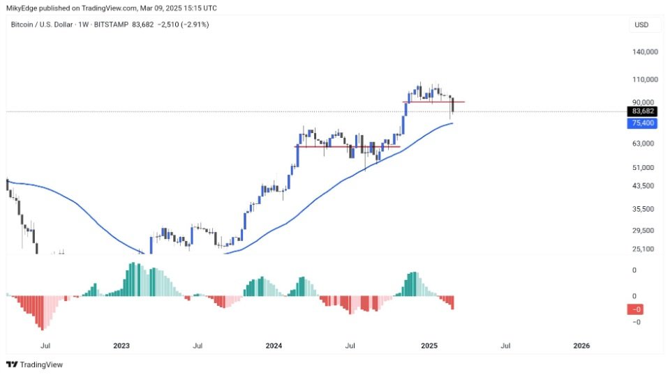BTC/USD 1-week chart with SMA50