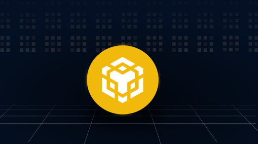 Binance recenze, BNB je nativní token decentralizované sítě BNB Chain