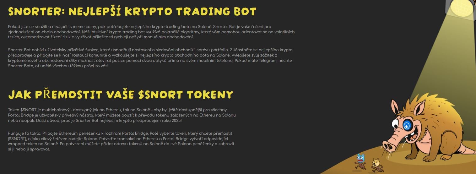 Snort o projektu