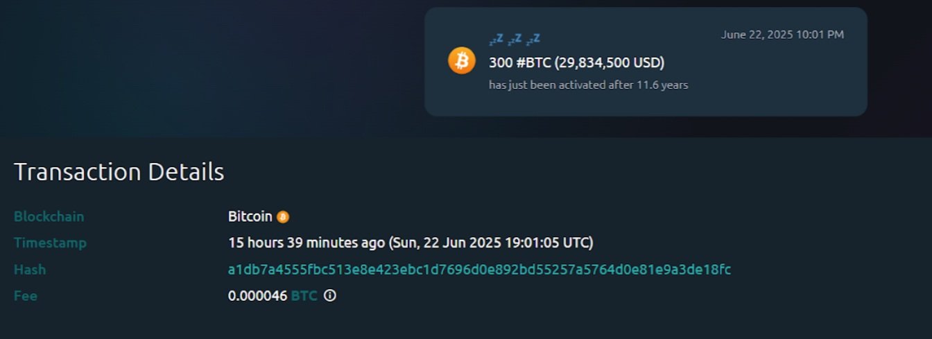 Investice neznámého investora, který prodal 300 bitcoinů