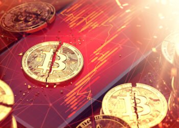 V růst bitcoinu věří stále více institucionálních investorů