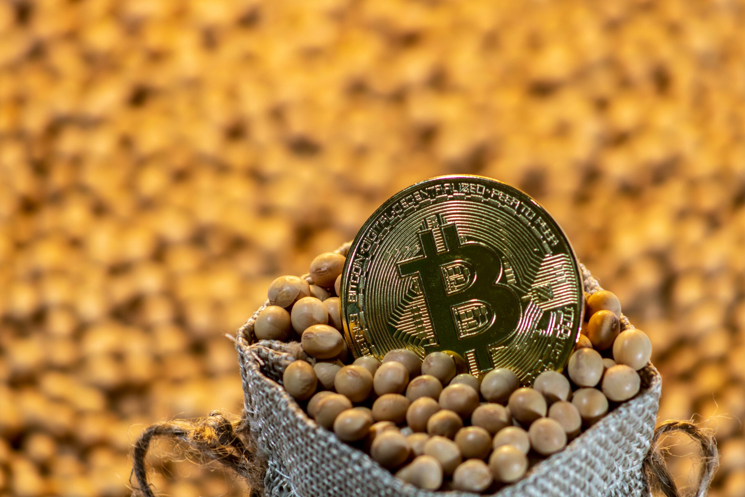 Zkrachuje bitcoin stejně jako trh se sójovými boby v roce 1977?