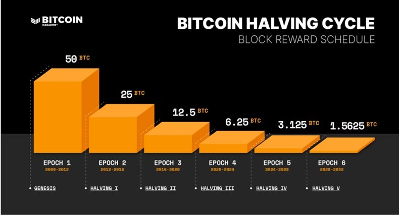 Jednotlivé cykly halving bitcoinu a odměny těžařům